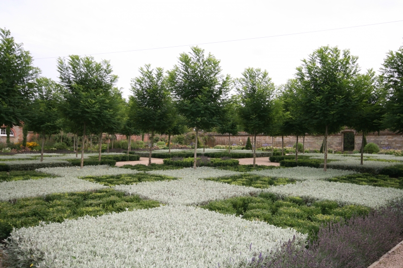 Garden Design, Surrey, Hampshire