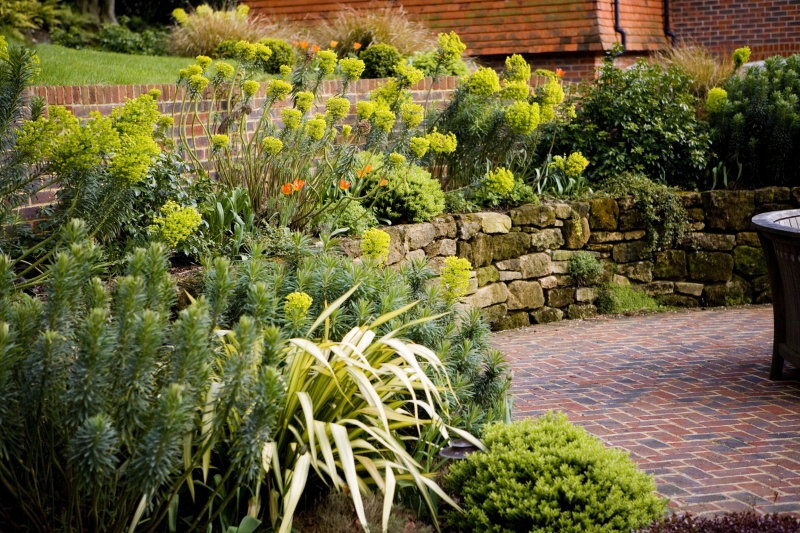 Garden Design, Surrey, Hampshire, Liphook